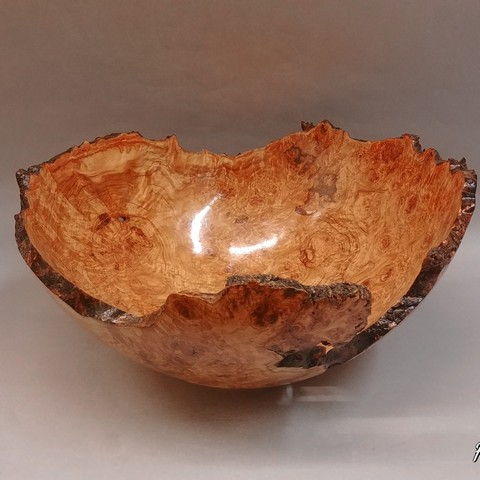 Click to view detail for JW-168 Bowl, Shallow Aspen Burl Bowl 13.5 x 13